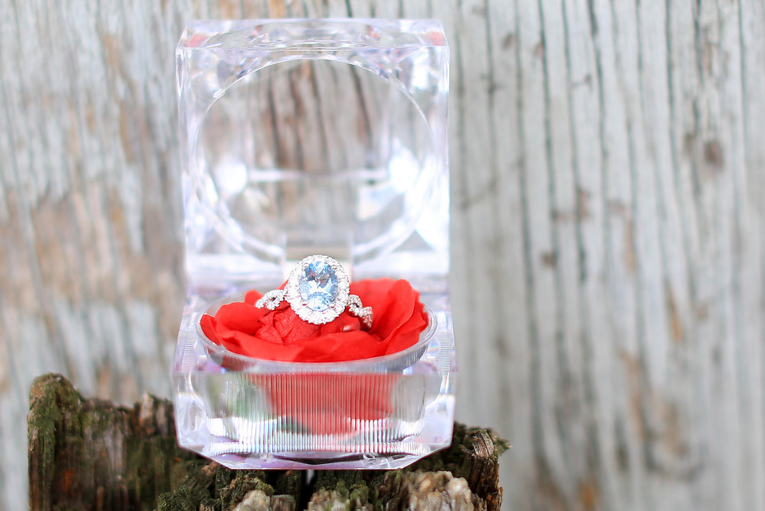 Blue Ridge GA Engagement Photographer