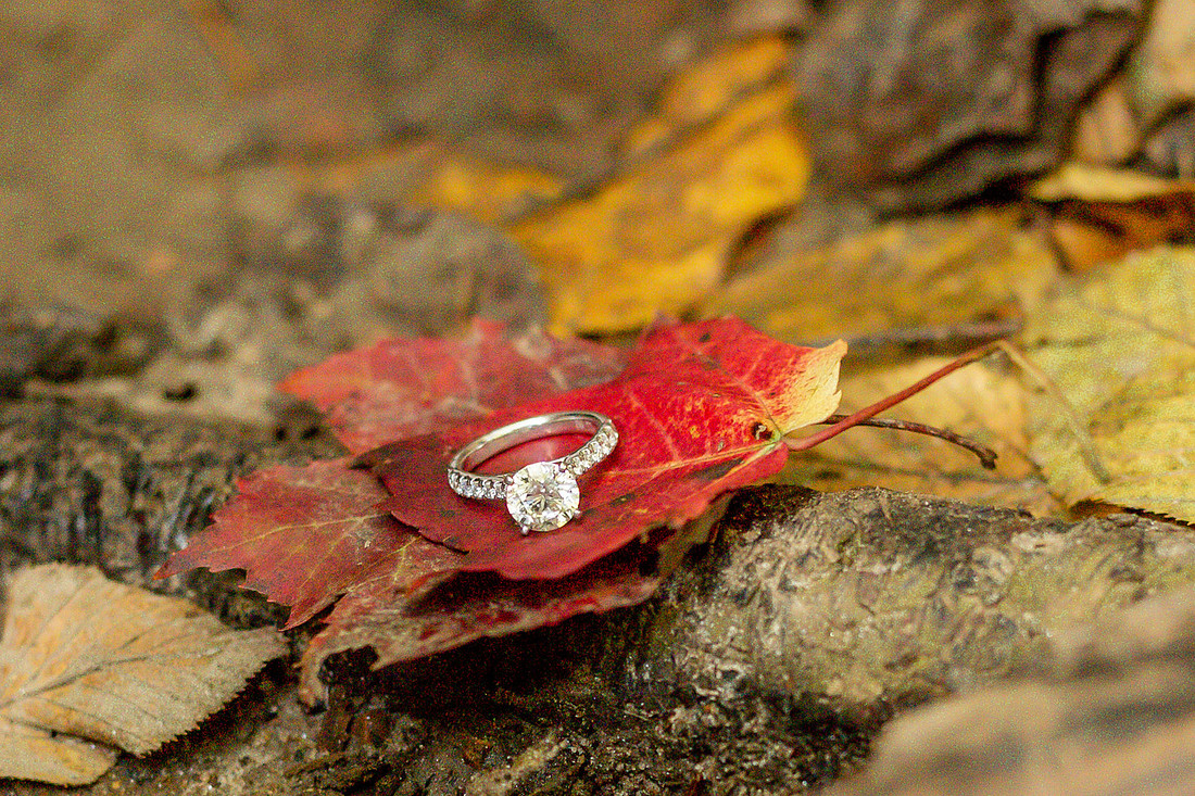 Blue Ridge Ga Engagement Proposal Photographer